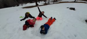 Attention ils sont dangeureux malgré les apparences