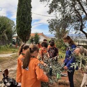 Faut qu'il soit beaux