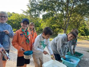 on frote du coté vert fainéant