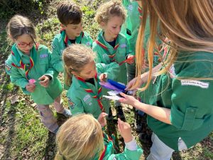 ils dilent quoi ici ?