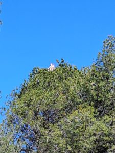 C'est qui cette olibrius ?